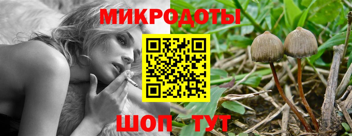 Сафоново  Псилоцибиновые грибы Magic Shrooms  Псилоцибиновые грибы мицелий  Вход с VPN 